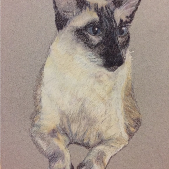 Meet your Posher, Linda - Picture 7 of 17